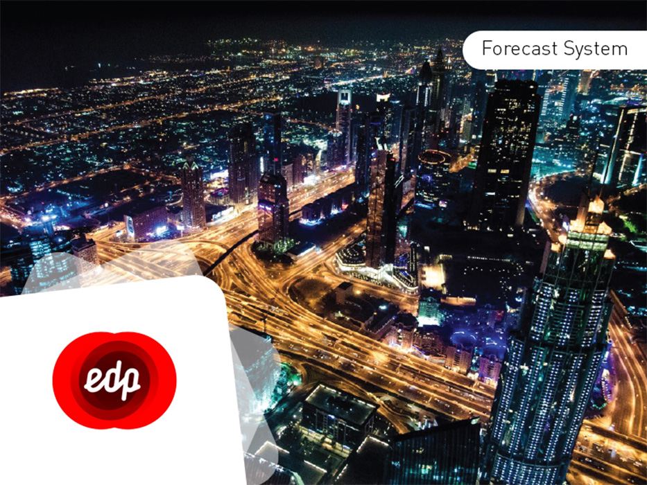 Case Study EDP Forecasting 